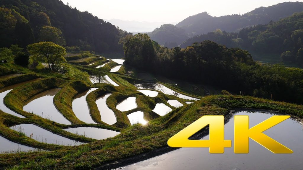 Chiba Hiratsuka terraced rice field - 棚田 - 4K Ultra HD