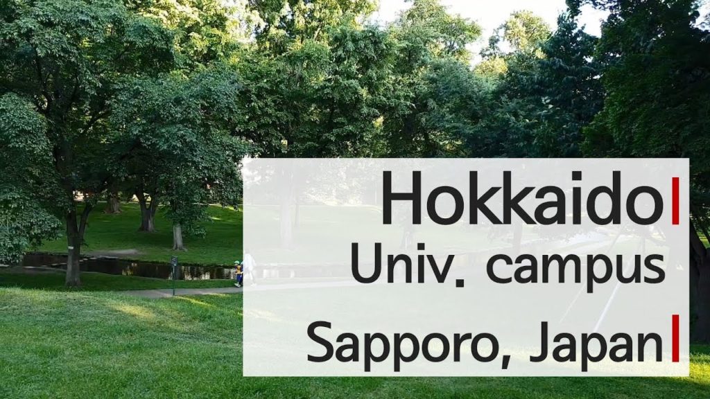 Summer of Hokkaido University campus