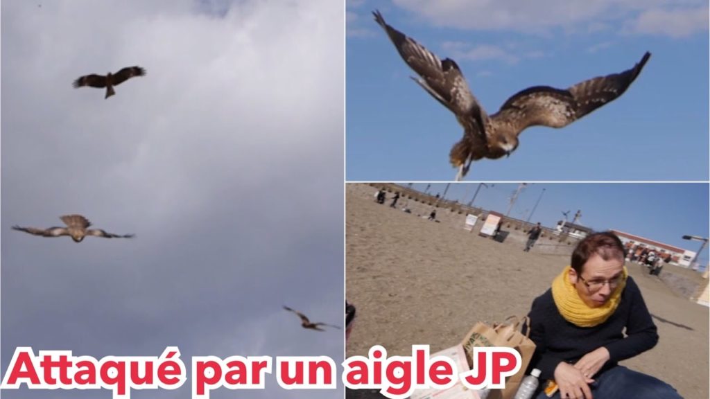 Attaqué par un aigle au Japon ! Pizza sur la plage à Kamakura Attaqué par un aigle au Japon ! Pizza sur la plage à Kamakura
