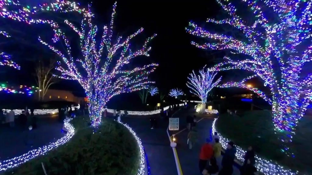 2018 ~ 2019 Winter Illumination Part 1- Nabana no Sato - Nagoya Japan ウィンターライトフェスティバル - なばなの里 - その1