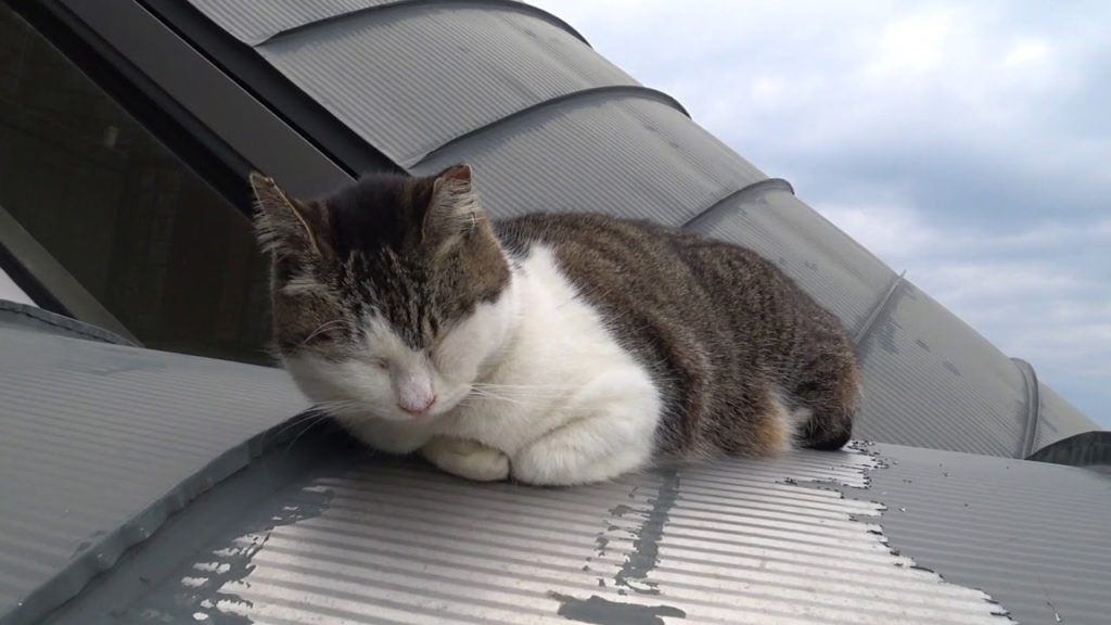 겨울 큐슈여행 - 나가사키 -  Winter Travel at Nagasaki
