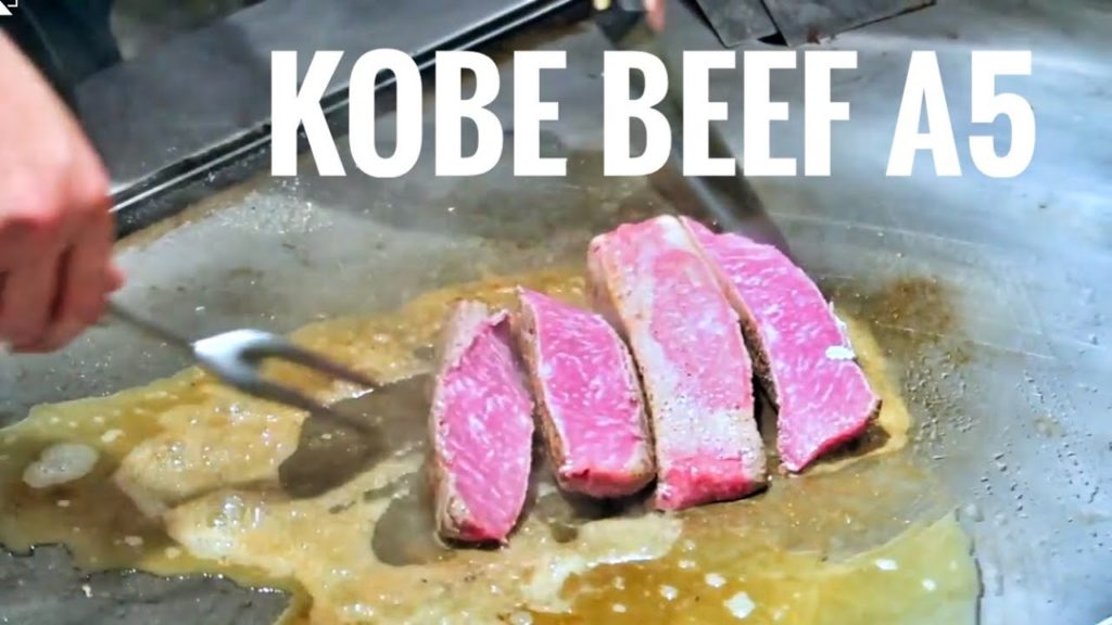 HGJ VLOG 64 - kobe beef restaurant - wagyu A5