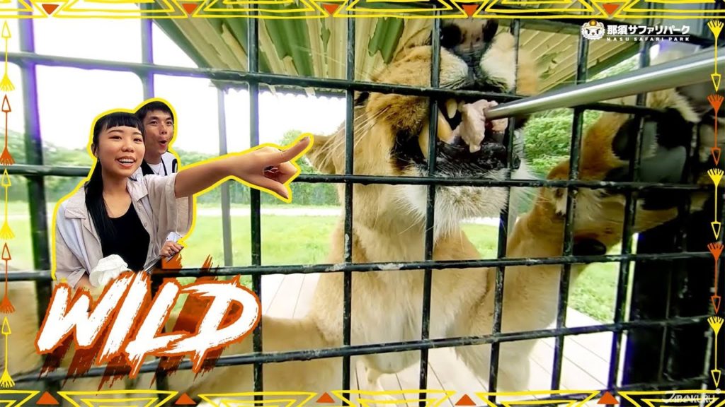 Japan Travel: Trip to Nasu Safari Park in Tochigi Japan Travel: Trip to Nasu Safari Park in Tochigi