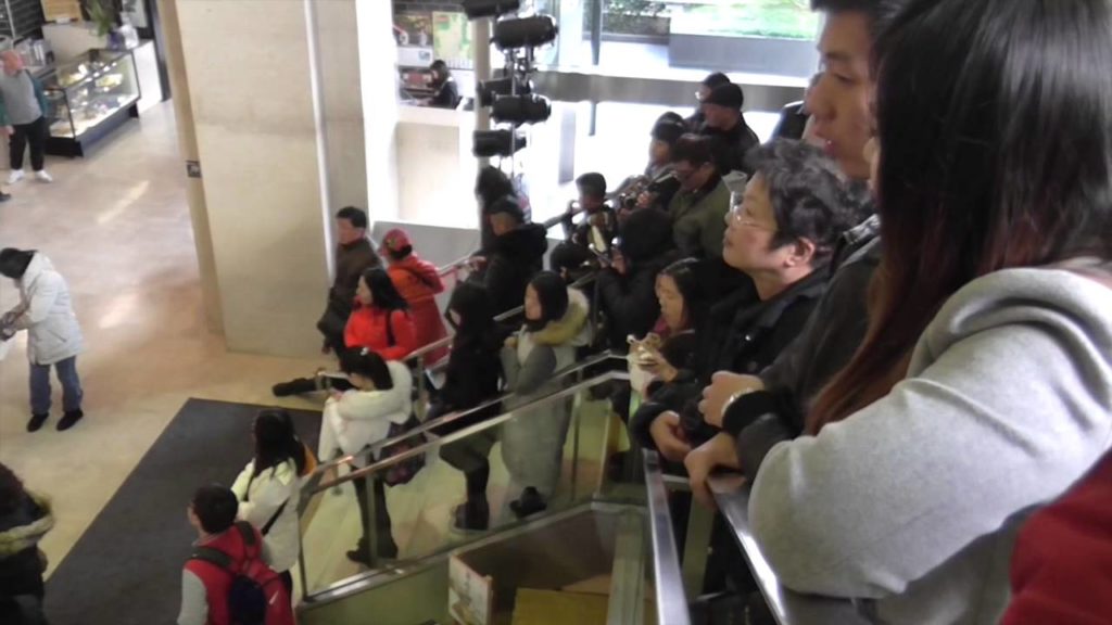 All About Japanese Food and Weird Tour Information All About Japanese Food and Weird Tour Information