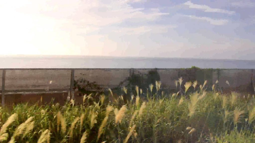 Sea of Japan - Rei Harakami さようなら