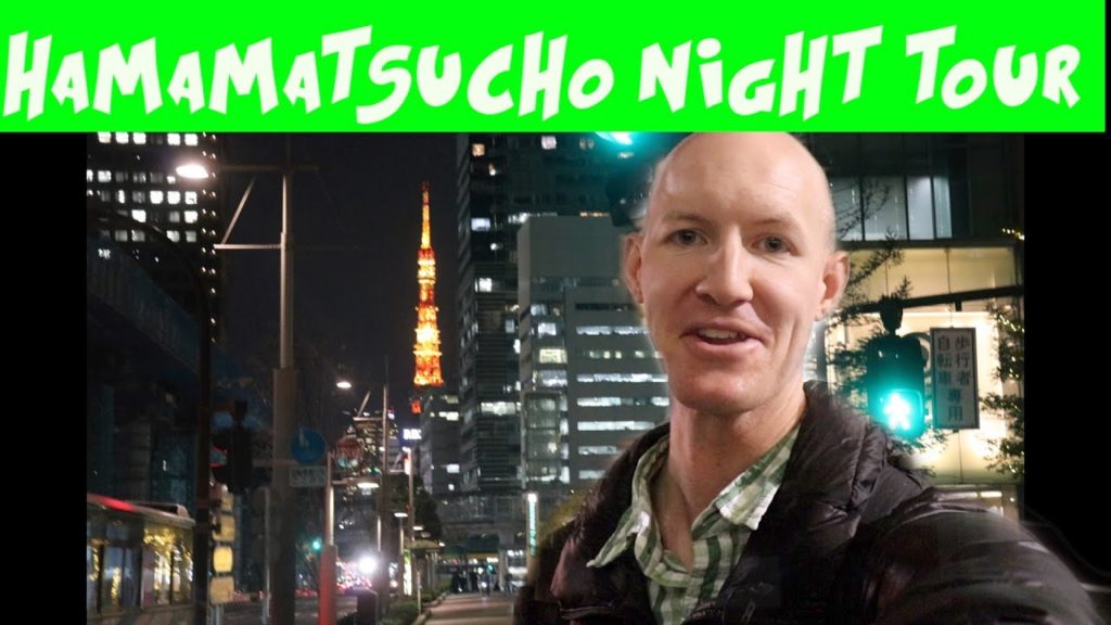 Hamamatsuchō Night Street Tour- Tokyo Japan