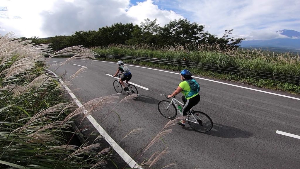 Fuji Hakone Izu Road trip 5days