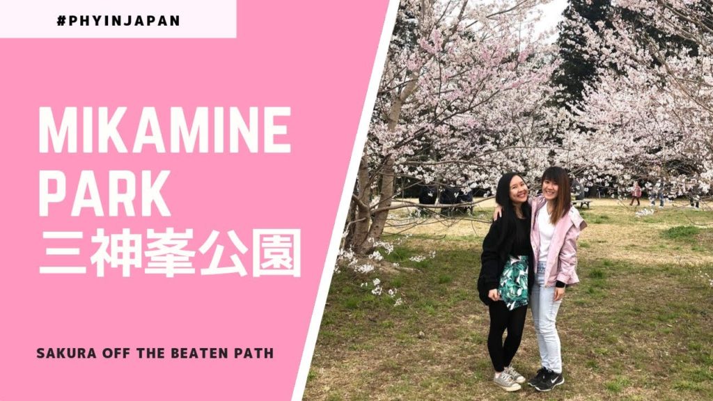 Off the Beaten Path - Sakura in Mikamine Park, Sendai 三神峯公園の桜