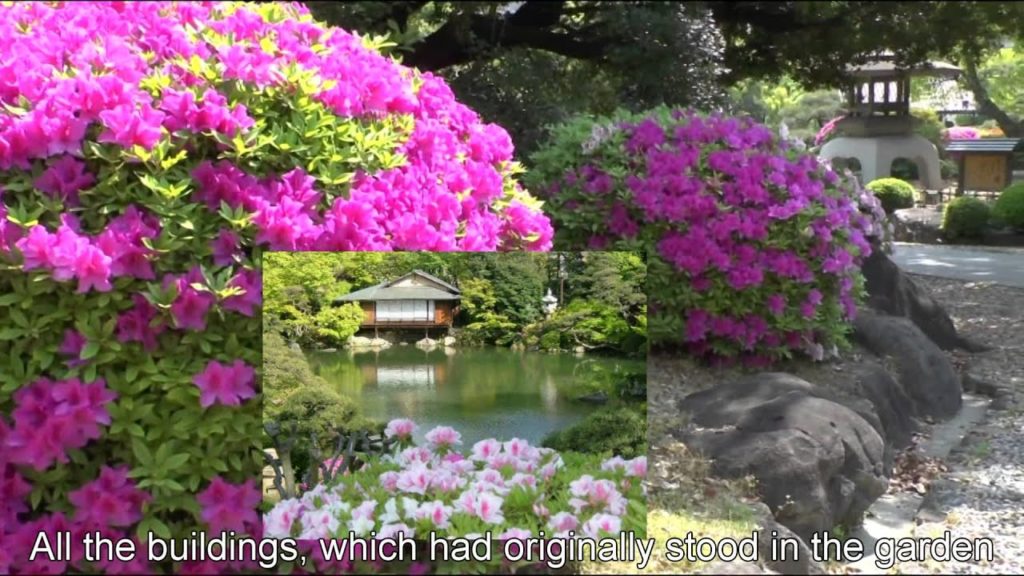 Japan Trip: Sorakuen traditional landscape garden, Kobe, Hyogo, Japan