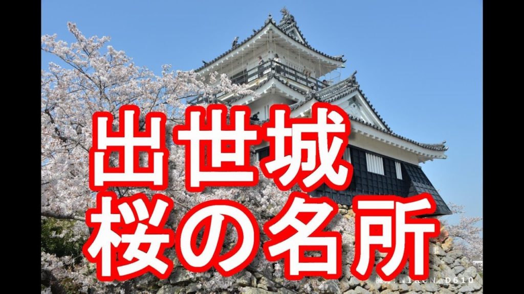 【桜お花見名所】浜松の観光名所の１つ！浜松城！出世城＆徳川家康17年間居城！Hamamatsu castle in Hamamatsu city,Japan