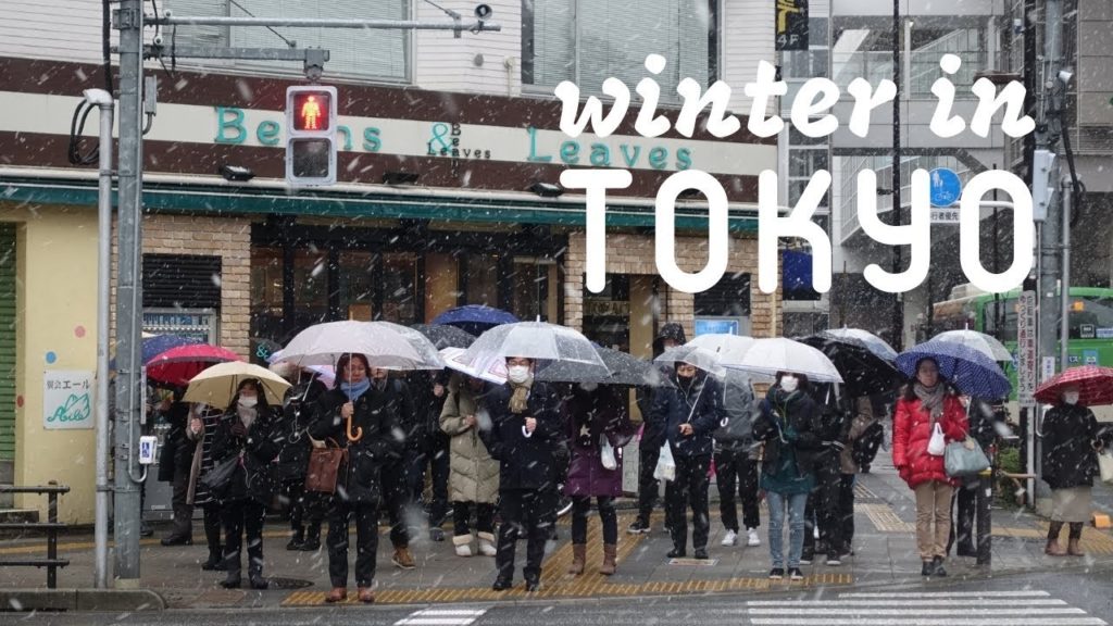 Winter in Tokyo ❄️ Snow