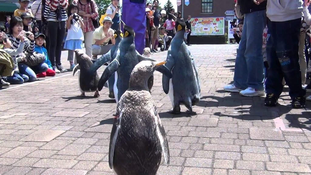 Hokkaido Travels 北海道旅行 登別マリンパークニクスペンギンパレード