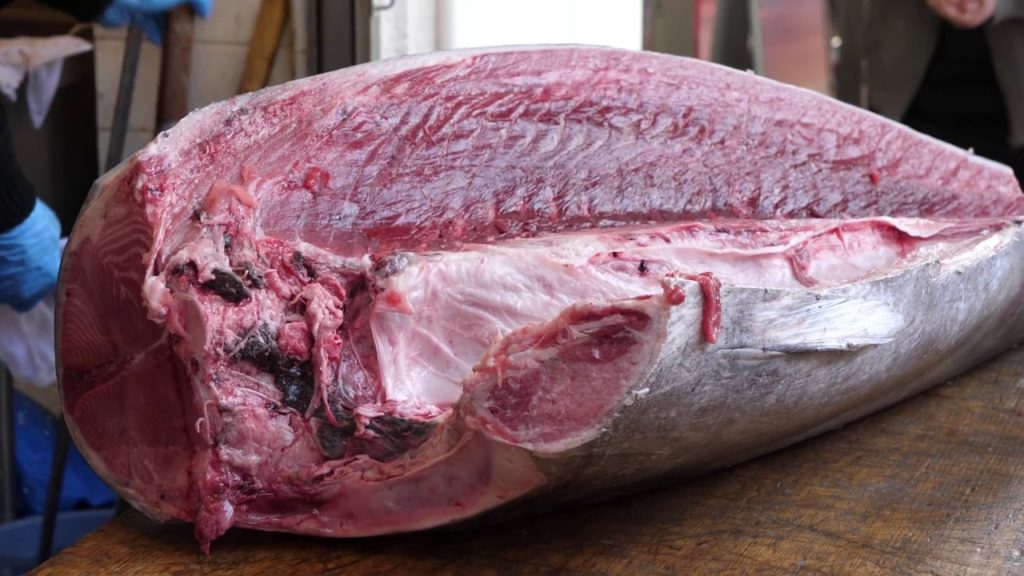 BIG Tuna Cutting show in Tsukiji for Sushi  and Sashimi