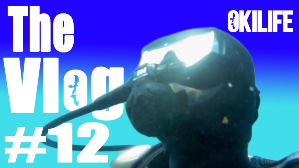 Turtles, Surfers, and Sea Snakes in Okinawa Turtles, Surfers, and Sea Snakes in Okinawa