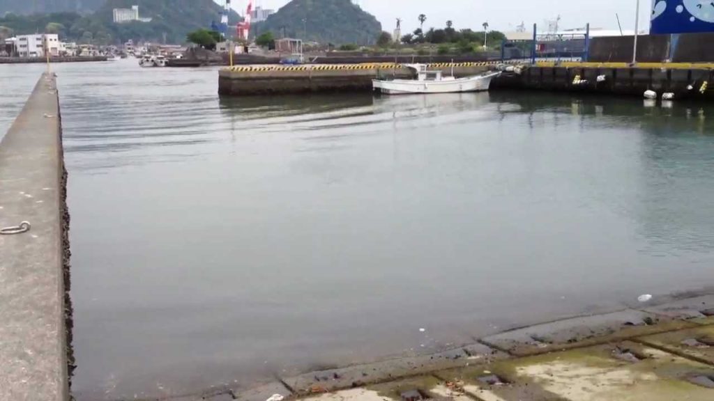 Small Commercial Fishing Harbor in Yaizu Japan