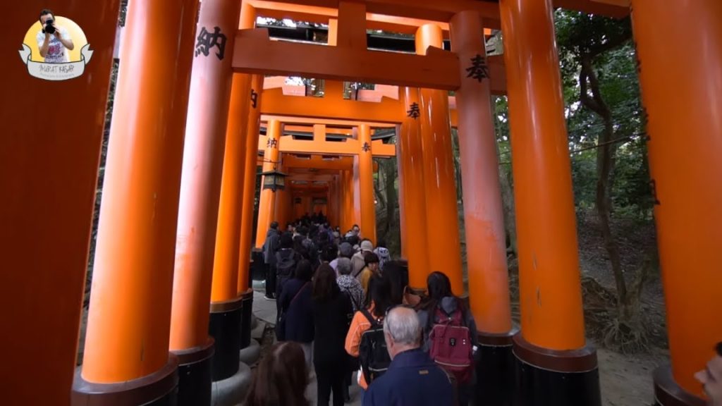 TOP 25 PLACES TO VISIT IN JAPAN! (Vlog #18)