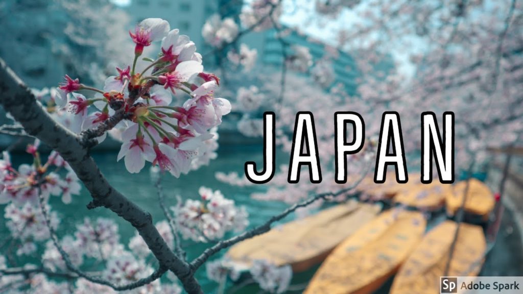 Japan in 3 Months  | Solo Travel Film