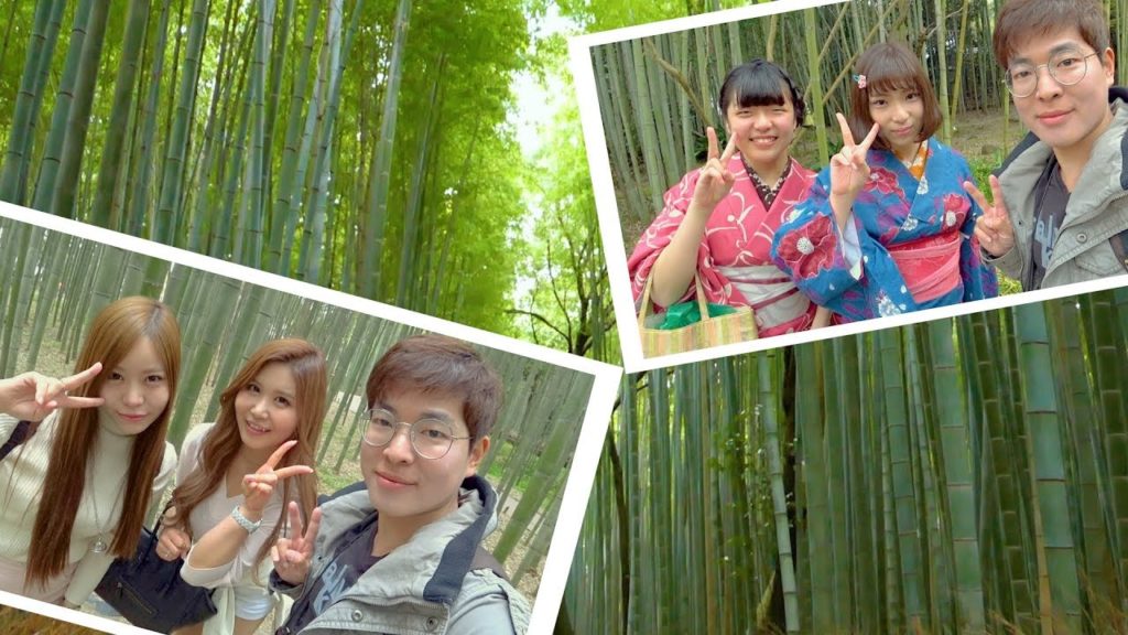 Bamboo Forest Arashiyama Kyoto / izakaya kushikatsu Osaka Bamboo Forest Arashiyama Kyoto / izakaya kushikatsu Osaka