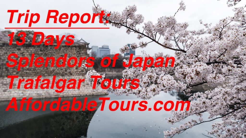 Review | Splendors of Japan | Trafalgar Tours