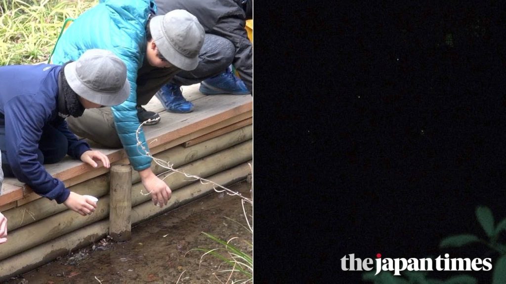 Fireflies at Hotel Chinzanso Tokyo
