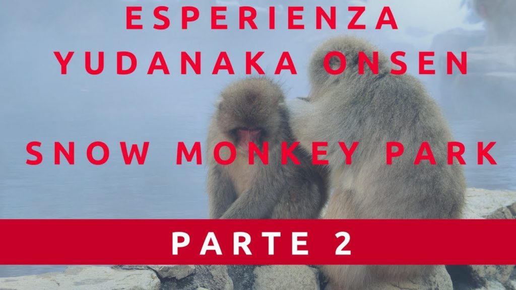 LE SCIMMIE DI NAGANO - PARTE 2