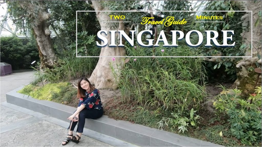 SINGAPORE Travel - Garden by the Bay | Enjoying View