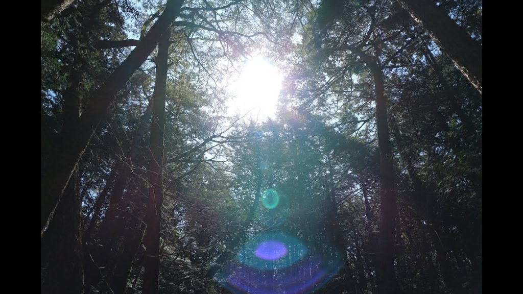 One Day KIRA KIRA TOUR Mt. Fuji Japan, 30 April 2018