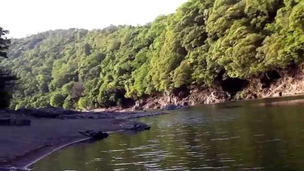 Arashiyama Kyoto tour