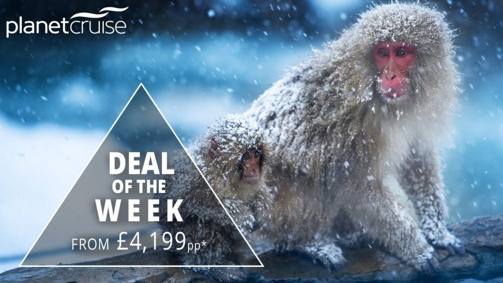 Snow Monkeys, Kyoto, Mt. Fuji & Tropical Japan Tour and Cruise Deal of the Week | Planet Cruise