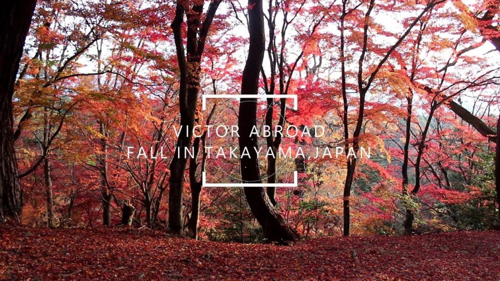 FALL IN TAKAYAMA, JAPAN | Cinematography