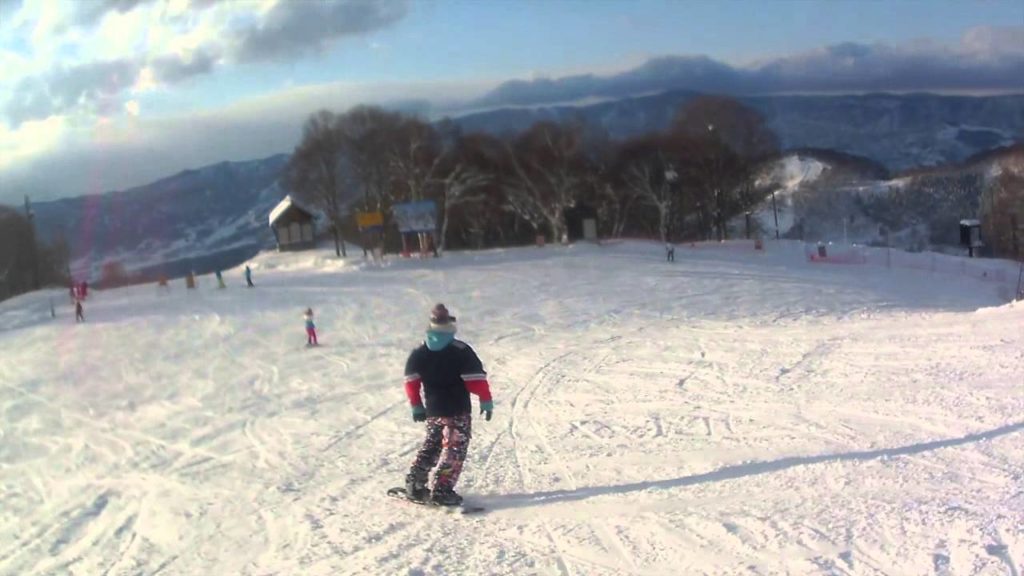 Skiing the Twigs of Nagano