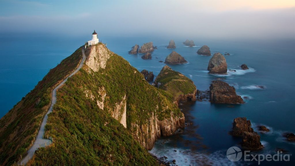 Dunedin Vacation Travel Guide | Expedia