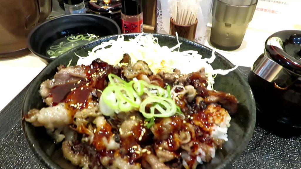 JAPAN | Summer Trip 2017 - Tokyo, Hakone, Mount Fuji, Shizouka (Part 2)