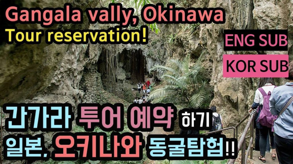 Okinawa(沖縄) gangaly valley tour 오키나와 간가라 계곡 투어 예약하기!! - (자이로 피디, GyRoPD)