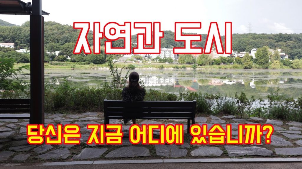 감성영상 강촌유원지, 동대문  ASMR Cinematic Video 영상 Canon EOS M5O