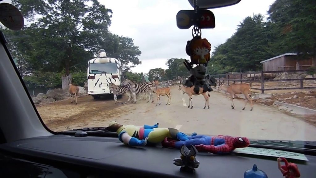 A trip to Gunma Safari Park, Japan 2019