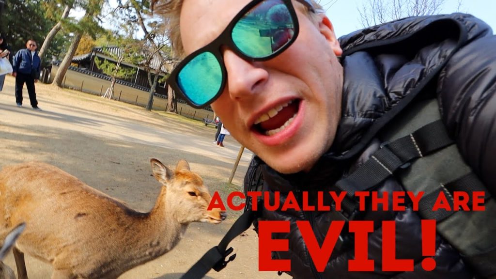 Are the bowing deers in Japan Mean in Nara Japan?