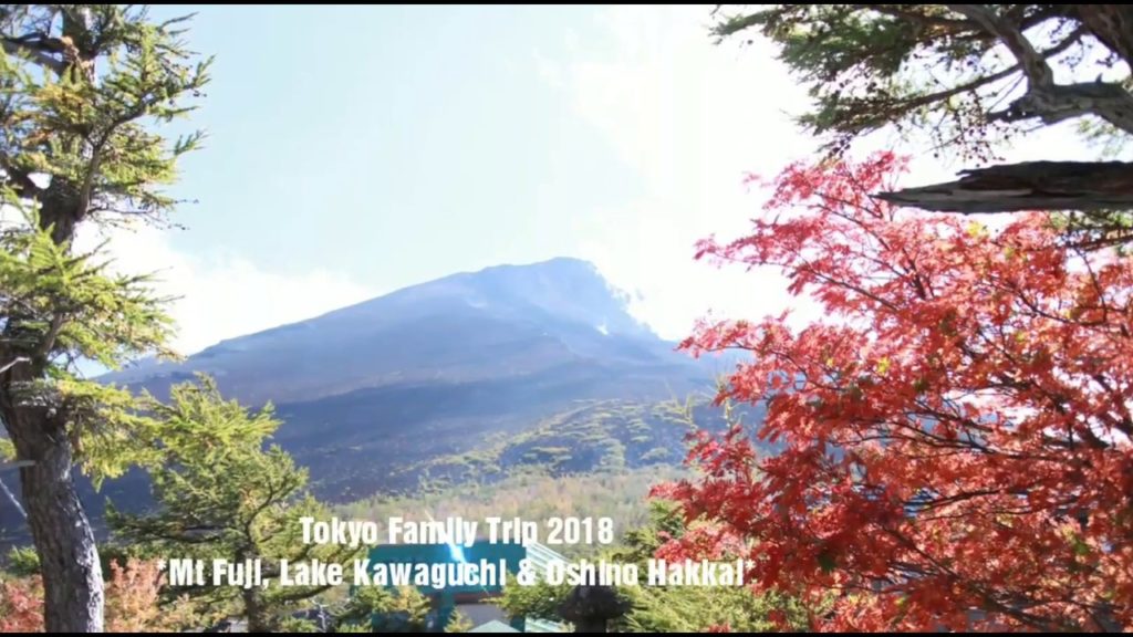 Tokyo Trip - Mount Fuji Lake Kawaguchi and Oshino Hakkai