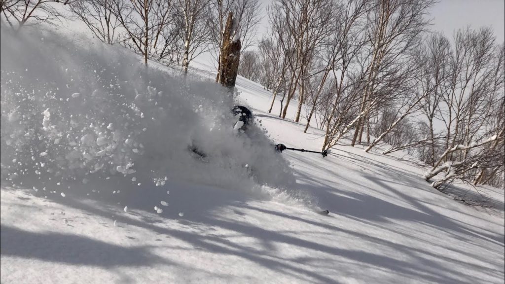 Powder ski  Tour  JAPOW JAPAN Hokkaido Sapporo Kokusai