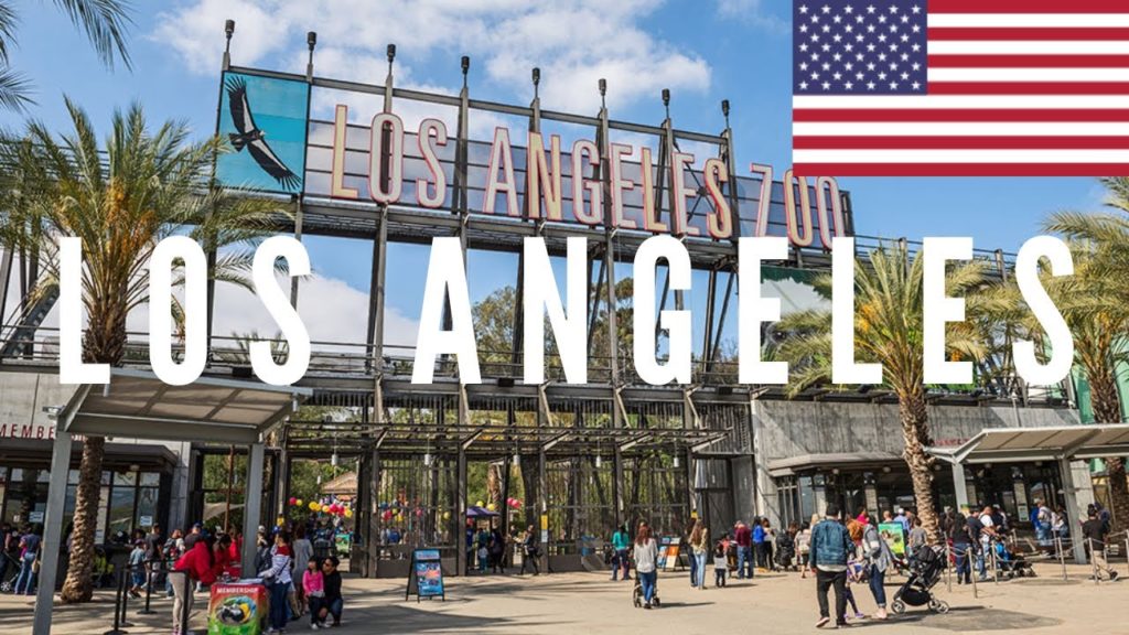 Los Angeles, USA 1988 | ロサンゼルス, アメリカ | 洛杉矶, 美国 🇺🇸 Los Angeles, USA 1988 | ロサンゼルス, アメリカ | 洛杉矶, 美国 🇺🇸