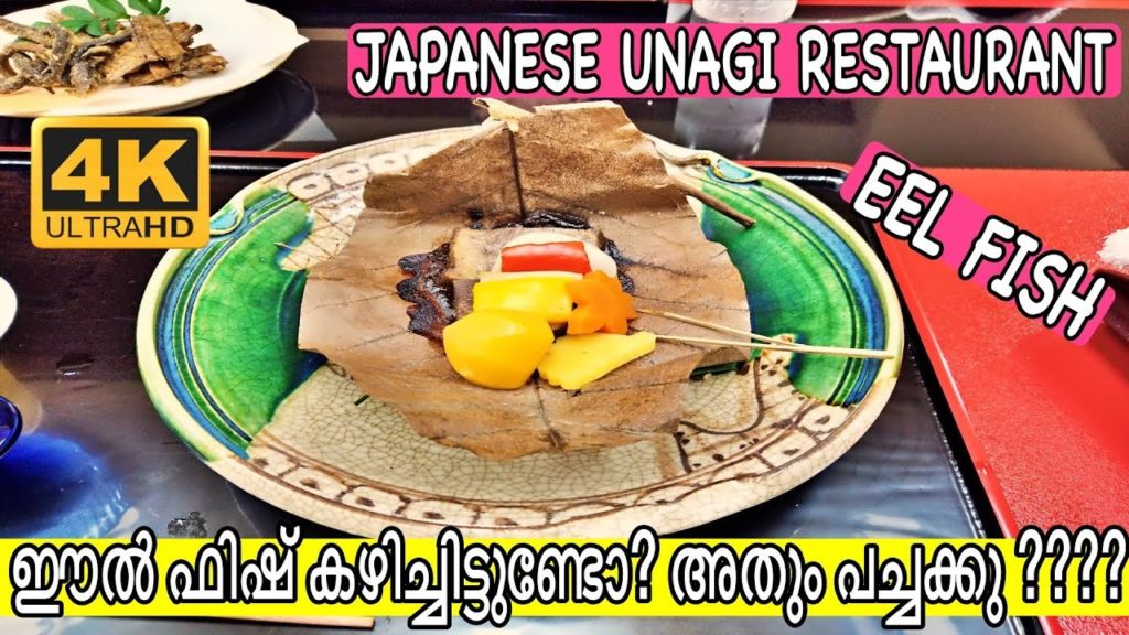 ഈൽ ഫിഷ് കഴിച്ചിട്ടുണ്ടോ? അതും പച്ചയ്ക്ക്?? ||Japanese Eel Fish Restaurant ഈൽ ഫിഷ് കഴിച്ചിട്ടുണ്ടോ? അതും പച്ചയ്ക്ക്?? ||Japanese Eel Fish Restaurant