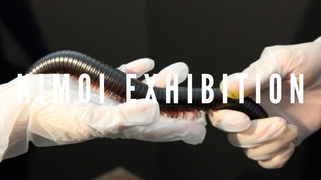 KIMOI EXHIBITION 2018 | きもい展