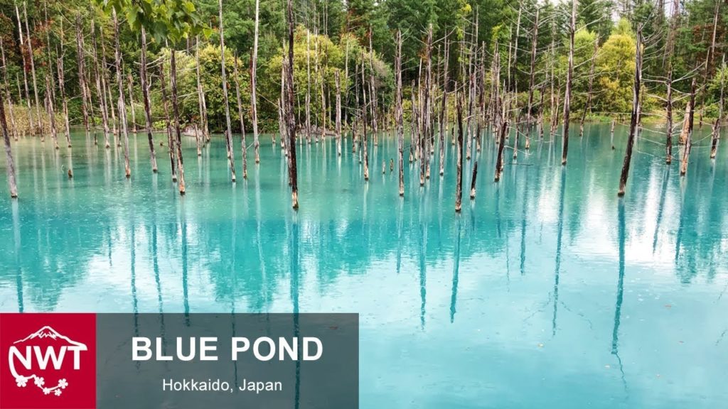 Blue Pond In Hokkaido, Japan - 4K
