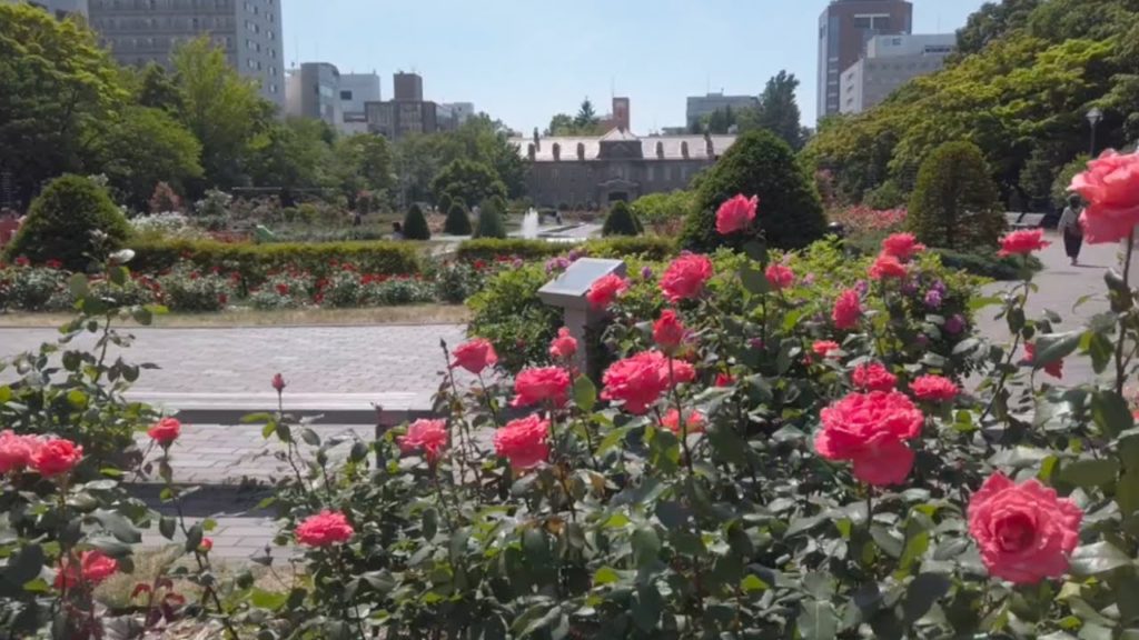 Walking Sapporo, Hokkaido — Odori  大通 ②