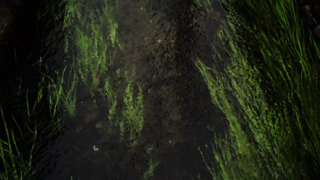 Clean water Creek Hideyoshi, Sake Brewery at Semboku, Akita