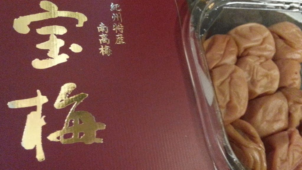 One Japan #96 Snacks in Wakayama 日本全国電車で！和歌山のおみやげ