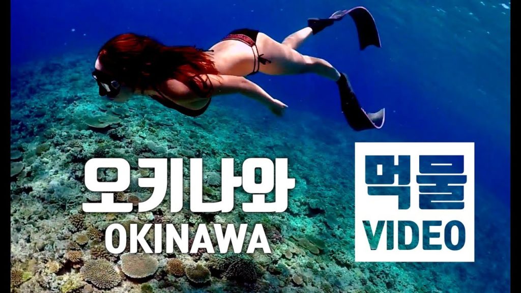 [먹물video] Okinawa Freediving tour