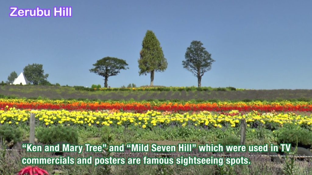 YOKOSO Japan Tour -- Hokkaido・Biei (北海道・美瑛) -- E26