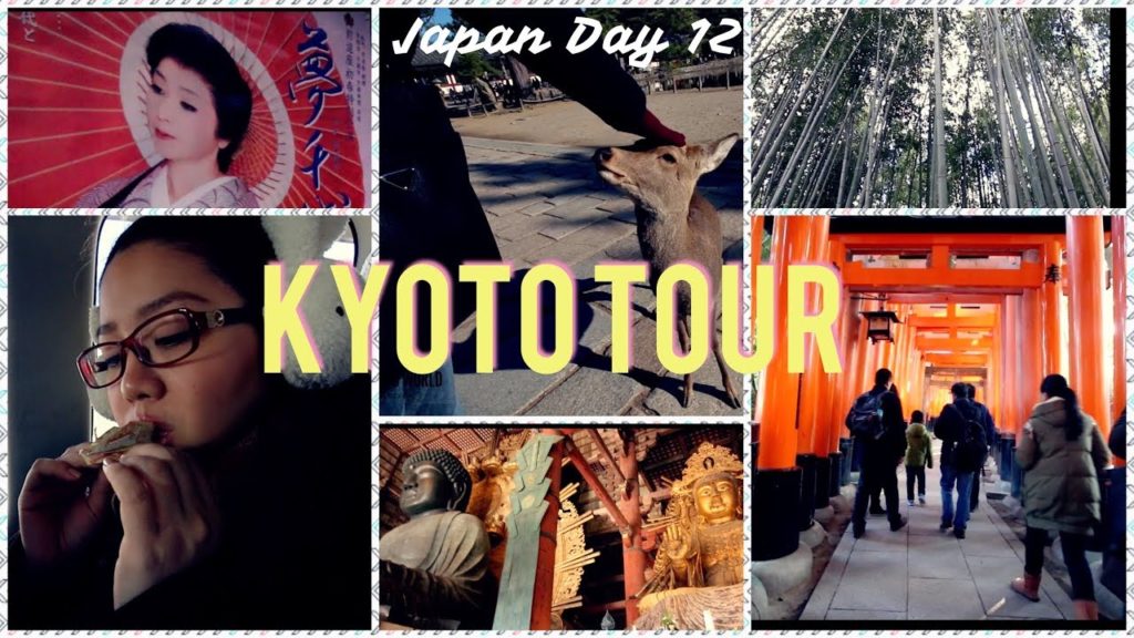 ONE DAY KYOTO TOUR - JAM PACKED SCENERIES!!| JAPAN 2015 TRAVEL VLOG DAY 12 | #ErrishMeetsWorld