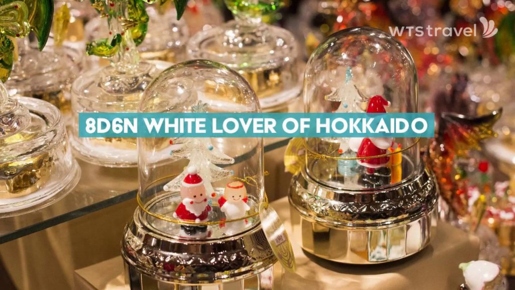 WTS Travel & Tours - 8D6N White Lover of Hokkaido